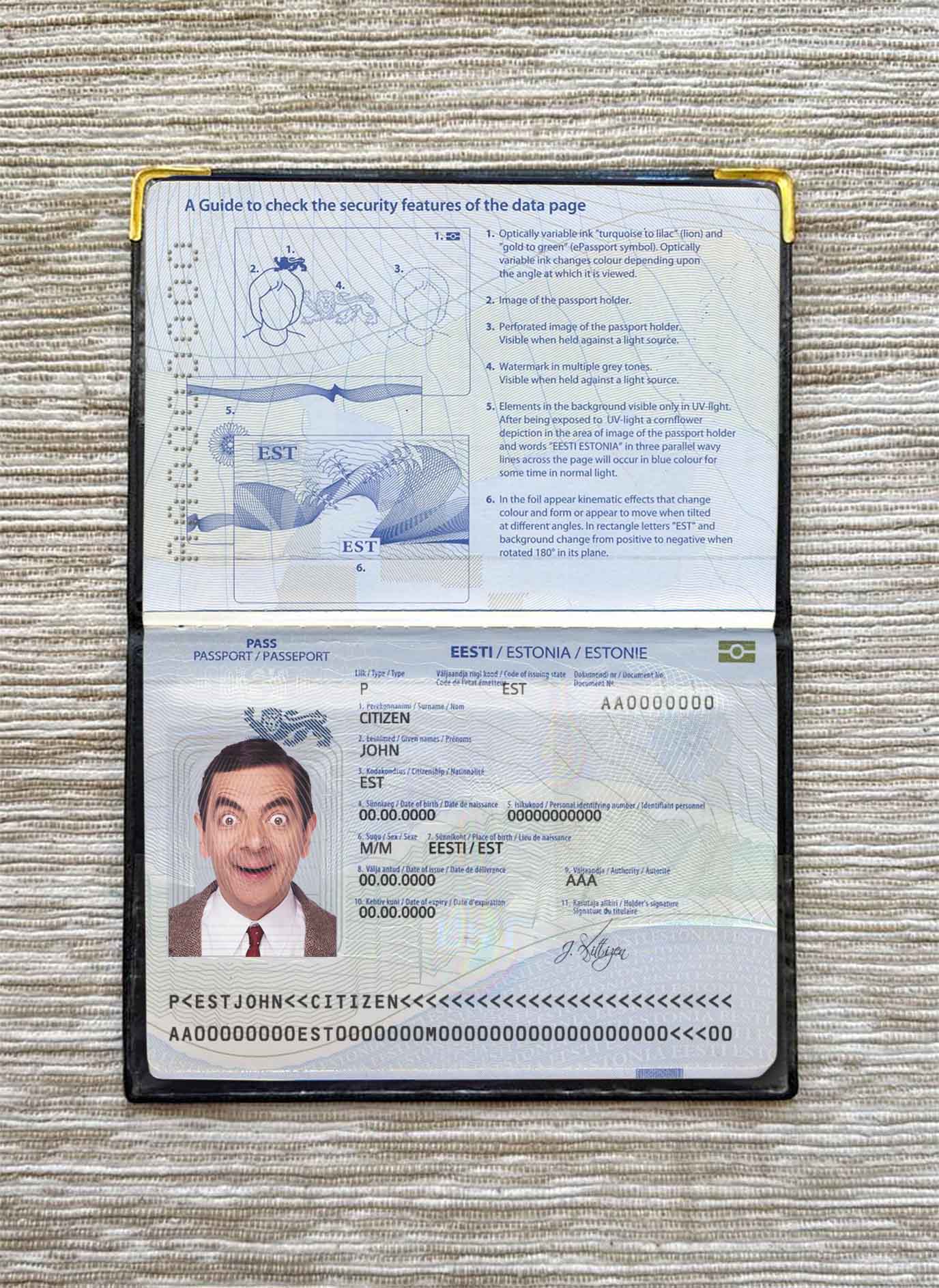 Estonia passport photo look PSD template